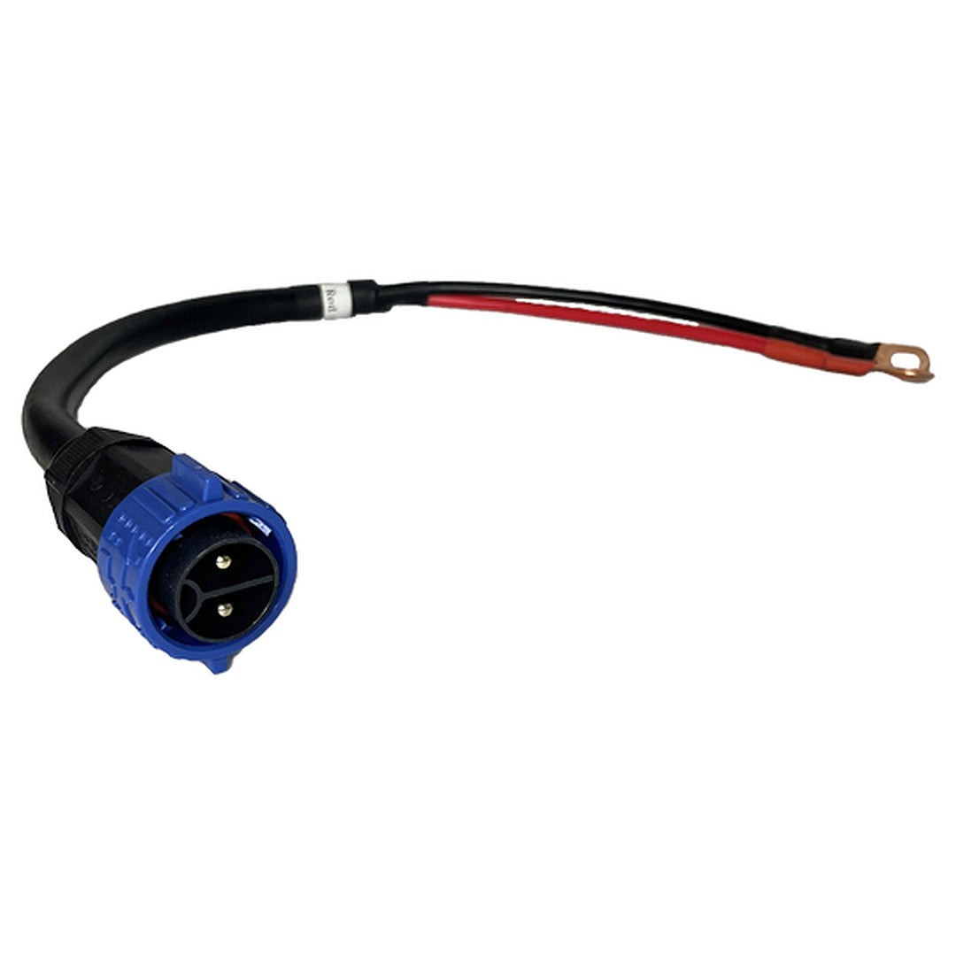 Golfmart Waterproof Lithium Battery Charger, 36V - Allied